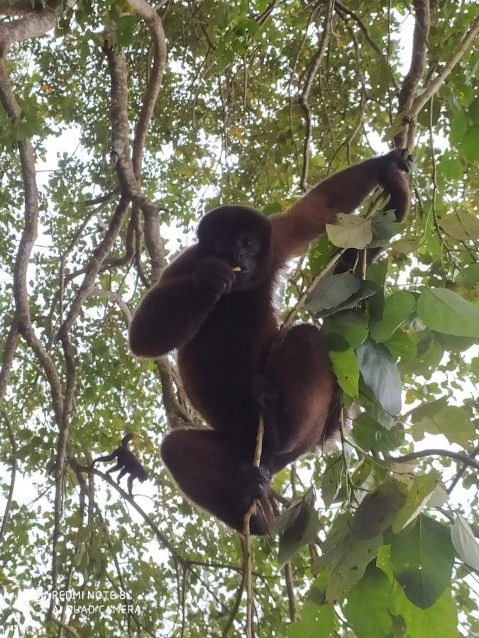 Jacamar Lodge Expeditions Iquitos Exteriör bild