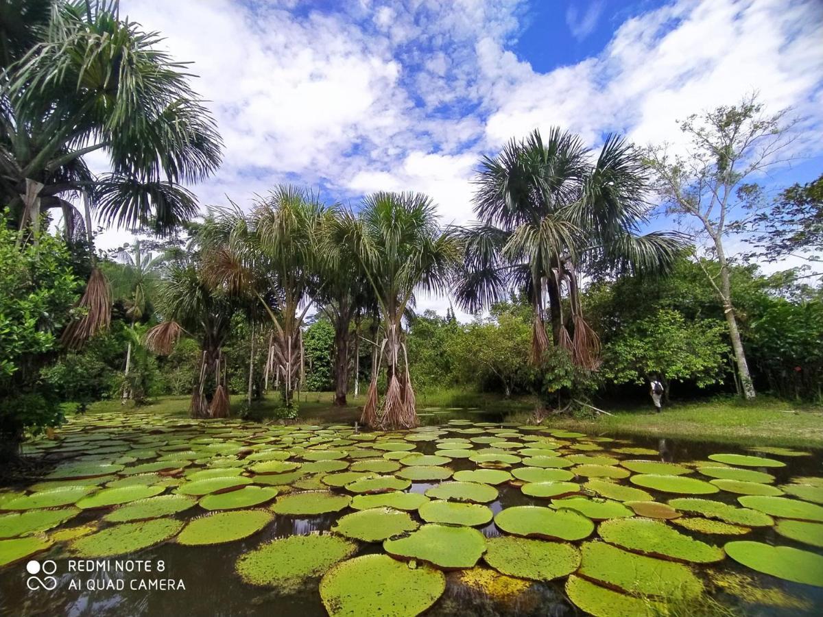 Jacamar Lodge Expeditions Iquitos Exteriör bild